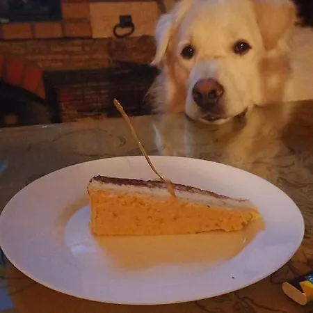 Country house Domacinstvo Bakic