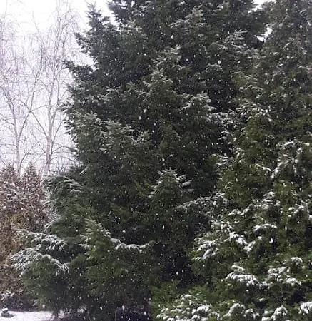 Country house Domacinstvo Bakic