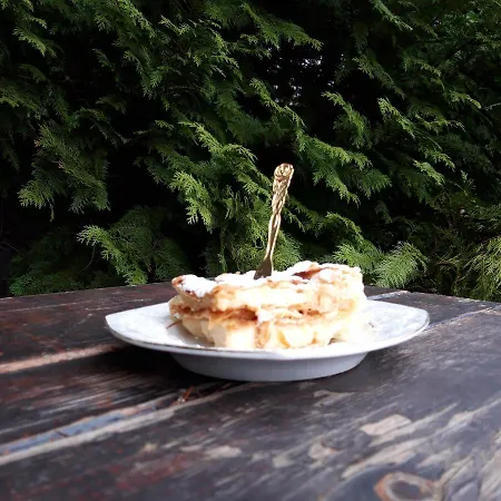 Domacinstvo Bakic Country house Irig